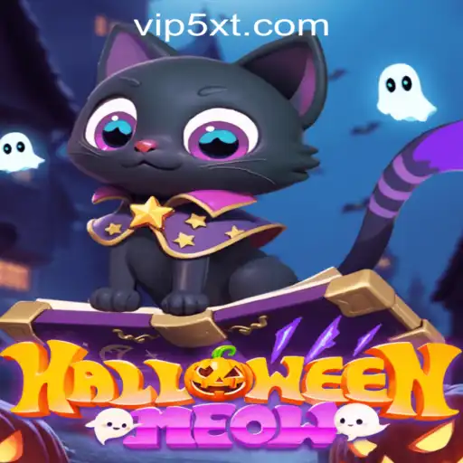 Dive into the Spooky World of HalloweenMeow